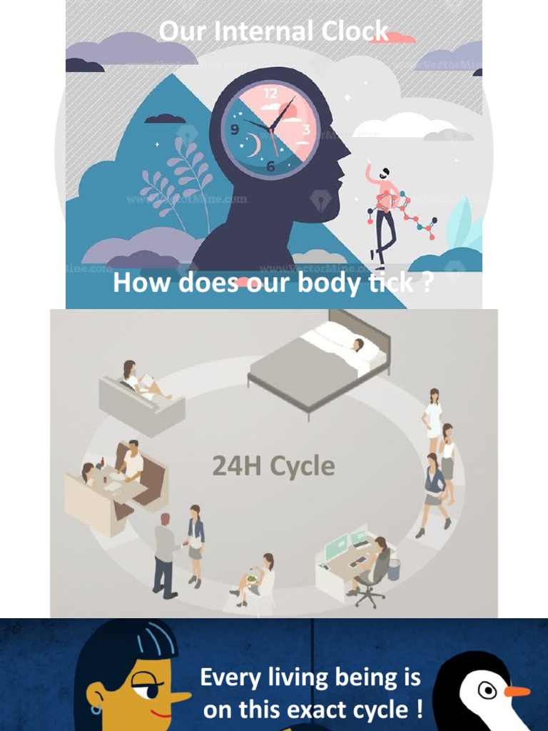 Our Master ClockCircadian Rhythm PDF