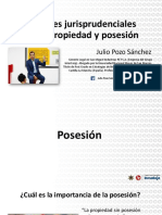 Alcances jurisprudenciales  sobre propiedad y posesión PDF gratis