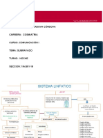 Mapa Del Sistema Linfatico