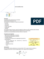 Resumo IBQ 2