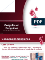 Coagulacion Sanguinea