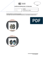Evaluacion de Mineralogia y Petrologia