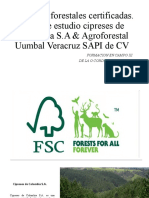 Empresas Forestales Certificadas