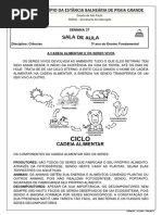 Atividade de Ciencias O Ciclo de Vida Dos Animais 3 Ano Para Imprimir | PDF