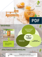 Mermelada de Aguaymanto y Jengibre Listo - PDF - Presentación
