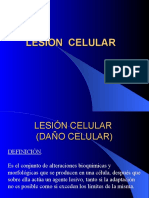 Lesion y Muerte Celular