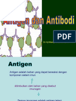 Interaksi Antigen Antibodi 4