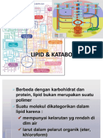 Lipid & Metabolisme Lipid
