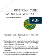 Pekembangbiakan Vegetatif-Wps Office