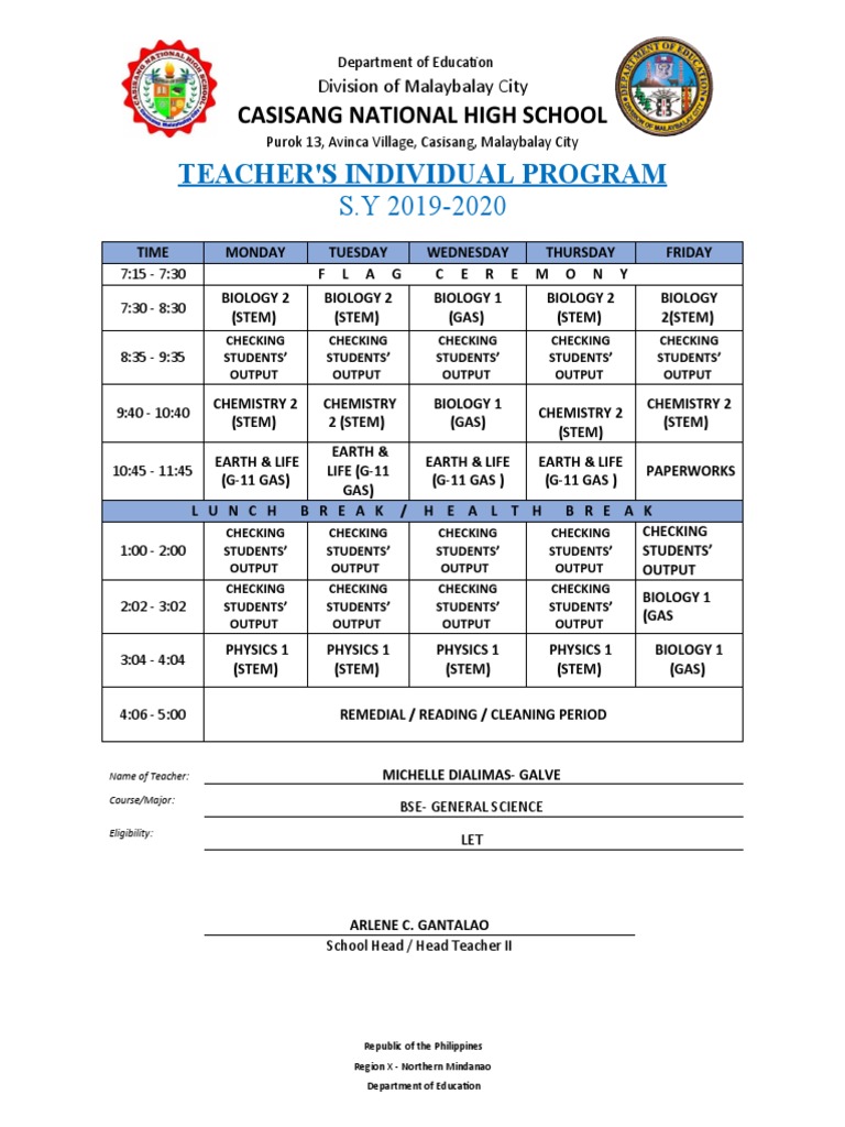Teacher S Individual Program Casisang National High School Pdf
