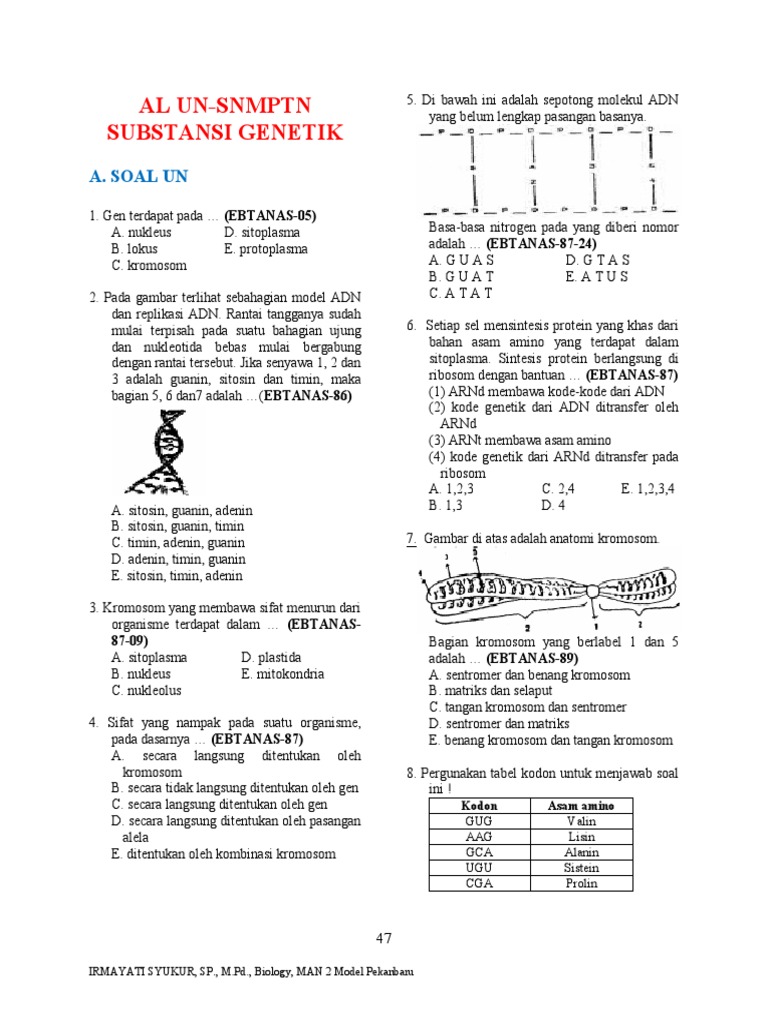 Soal Genetik dan Sintesis Protein Kelas 12 | PDF