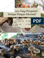 Jamur Kayu Yang Prospektif Sebagai Pangan Alternatif