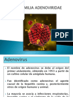 Adenovirus: Características, transmisión e importancia veterinaria y humana