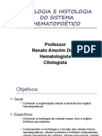 Citologia e Histologia Do Sistema Hematopoético
