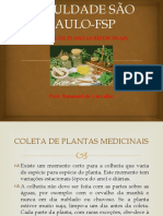 Coletas de Plantas Medicinais- Aula