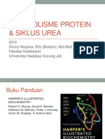 Donny N - Metabolisme Protein & Urea 2.3