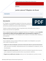 Registro de Información Laboral T-Registro de Sunat - Gobierno Del Perú