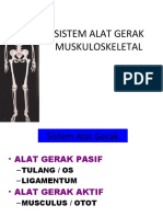 Sistem Muskuloskeletal