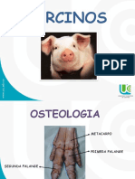 OSTEOLOGIA SINDESMOLOGIA & MIOLOGIA COMPARADA