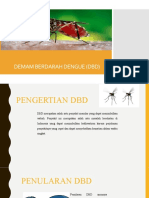 Demam Berdarah Dengue (DBD)