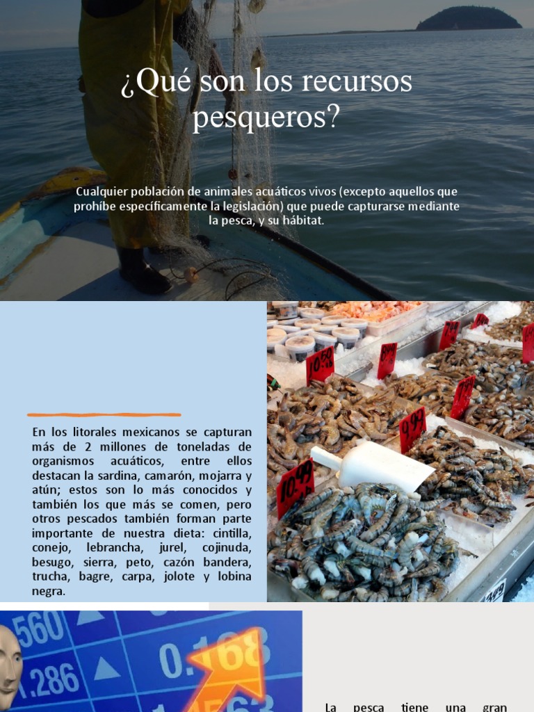 Recursos Pesqueros PDF