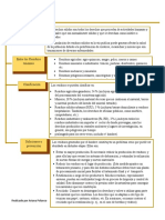 Acumulación de Los Desechos Solidos-Ariana Polanco