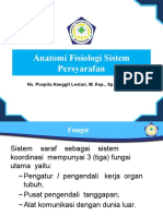 Anfis Sistem Persyarafan 2020