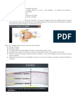 Farmacologia Ocular