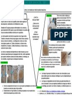 Practica de Microbiología