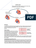 Biology Cardiac Cycle