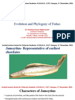 Evolution and Phylogeny of Fishes
