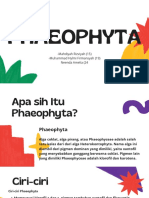 Presentasi Pheaophyta