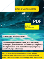 Fitoplankton (Melinda - Atok)