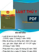 LTY - phần 1