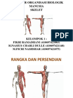 Skeletal PDF
