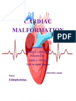 Cardiac Malformation: Left To Right Shunts