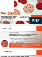 BABESIOSE - Parasitologia