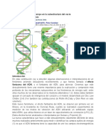 Medición de Un Nuevo Campo en La Subestructura Del Vacío