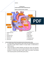 LATHAN SOAL II Anatomi Fisiologi Vani