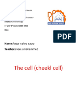 The Cell (Cheekl Cell) : Name:Antar Nahro Xasro Teacher:avan S Mohammed