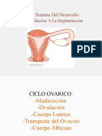 Embriologia Primera Semana Del Desarrollo