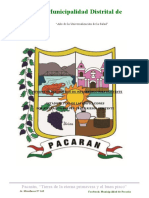 DIAGNOSTICO DE DAÑOS OFICIAL PACARAN