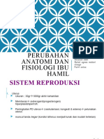 PERUBAHAN ANATOMI DAN FISIOLOGI IBU HAMIL