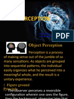 Perception: Bienvenido C. Palileo Ashlee Clemen Resurreccion