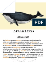 Las Ballenas