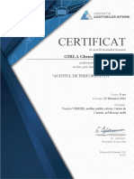 Certificat AAI Auditul Performantei
