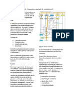 Regulação e integração do metabolismo II: ATP, NADPH, glicólise, gliconeogênese e mais