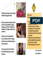 Leaflet Seksual