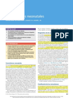 Mehu525 - U5 - T11 - Convulsiones Neonatales