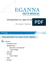 Introduction To Lean & Six Sigma: Pre Kaizen Training